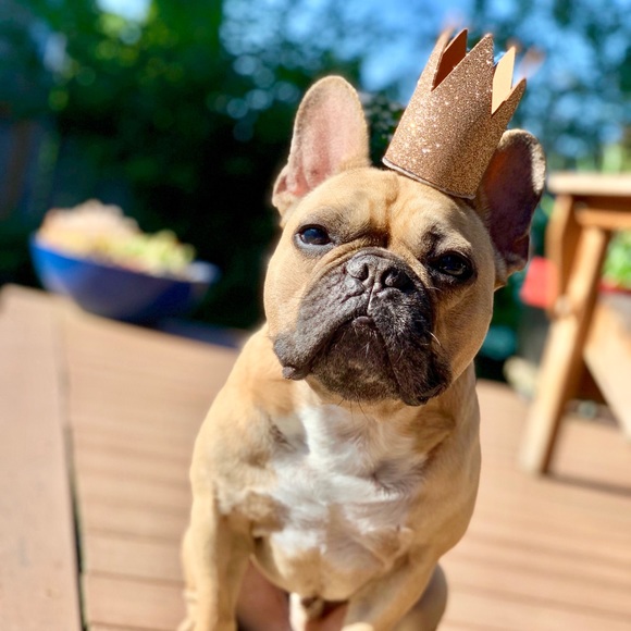 Meet your Posher, Maile - Picture 1 of 1